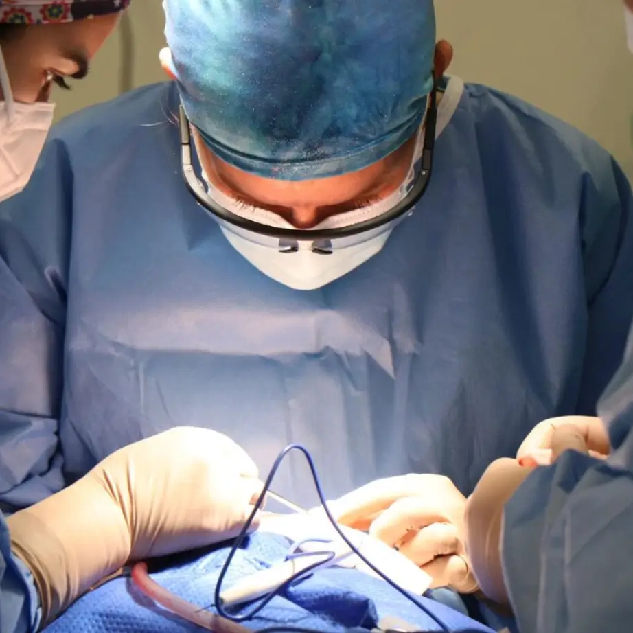 Surgeons in scrubs and masks perform a surgical procedure in a well-lit operating room. The lead surgeon, focused on the task, uses surgical instruments while an assistant supports the operation. This image captures the precision and teamwork involved in modern surgery, highlighting the importance of skilled medical professionals in patient care.